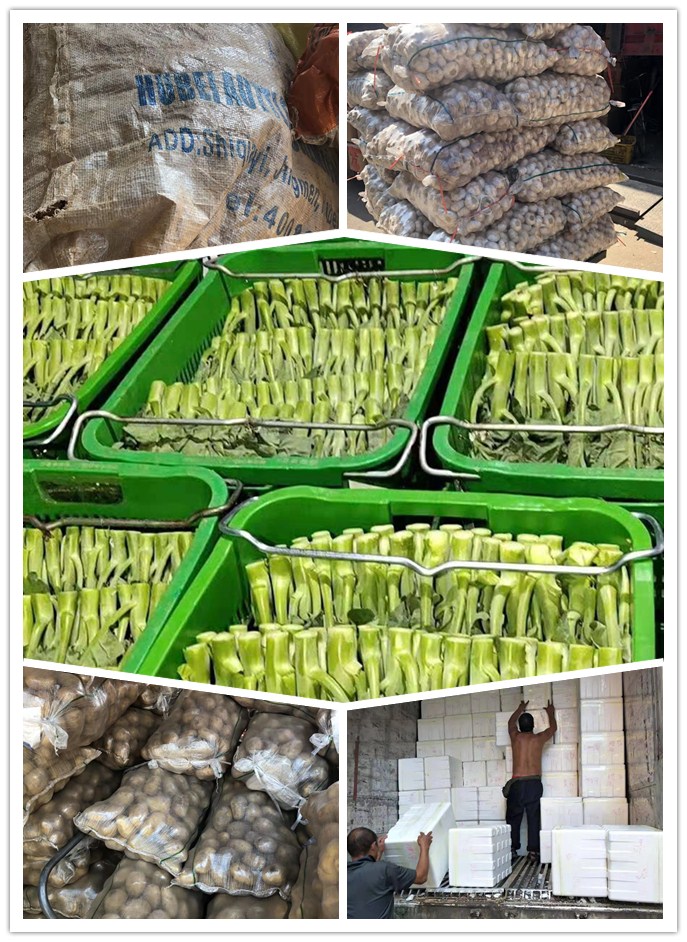 ��ҳ- �ڲ���������Ϊ��,רҵ����!