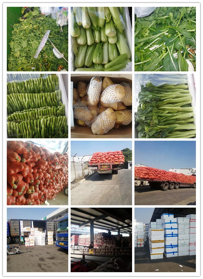 ��ҳ- �ڲ���������Ϊ��,רҵ����!