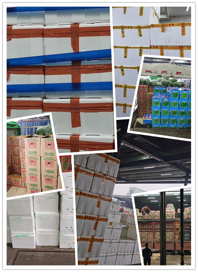 ��ҳ- �ڲ���������Ϊ��,רҵ����!