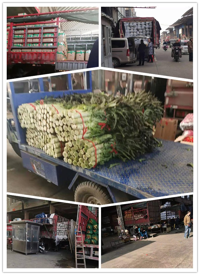 ��ҳ- �ڲ���������Ϊ��,רҵ����!