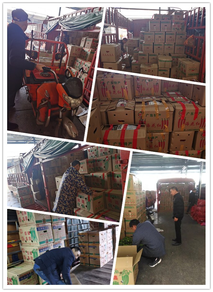 ��ҳ- �ڲ���������Ϊ��,רҵ����!