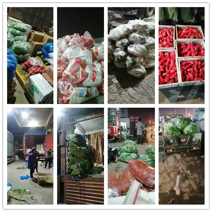 ��ҳ- �ڲ���������Ϊ��,רҵ����!