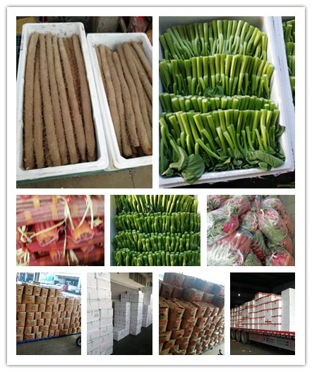 ��ҳ- �ڲ���������Ϊ��,רҵ����!