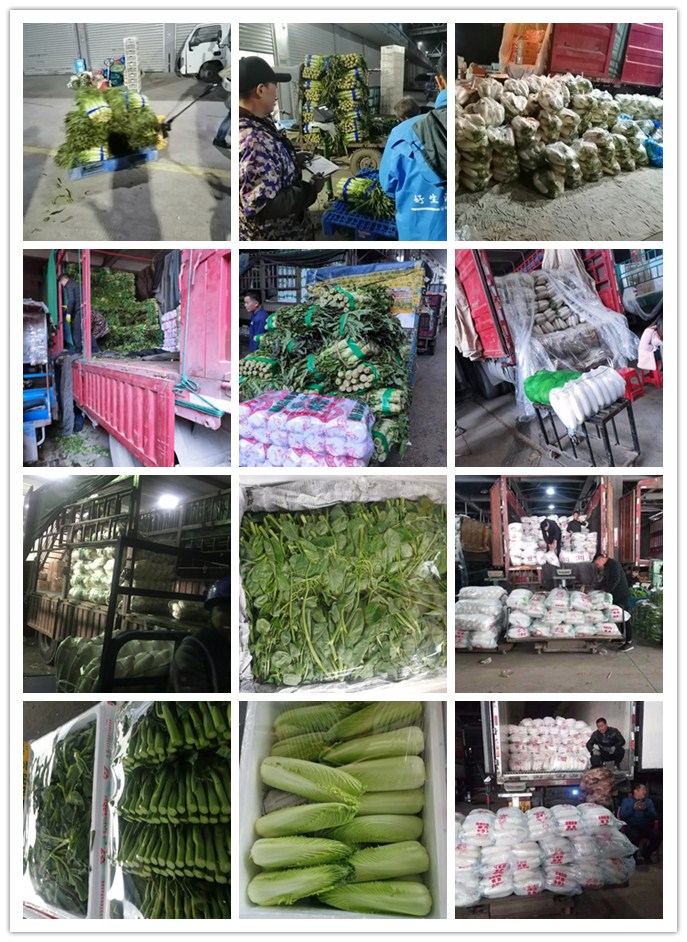 ��ҳ- �ڲ���������Ϊ��,רҵ����!