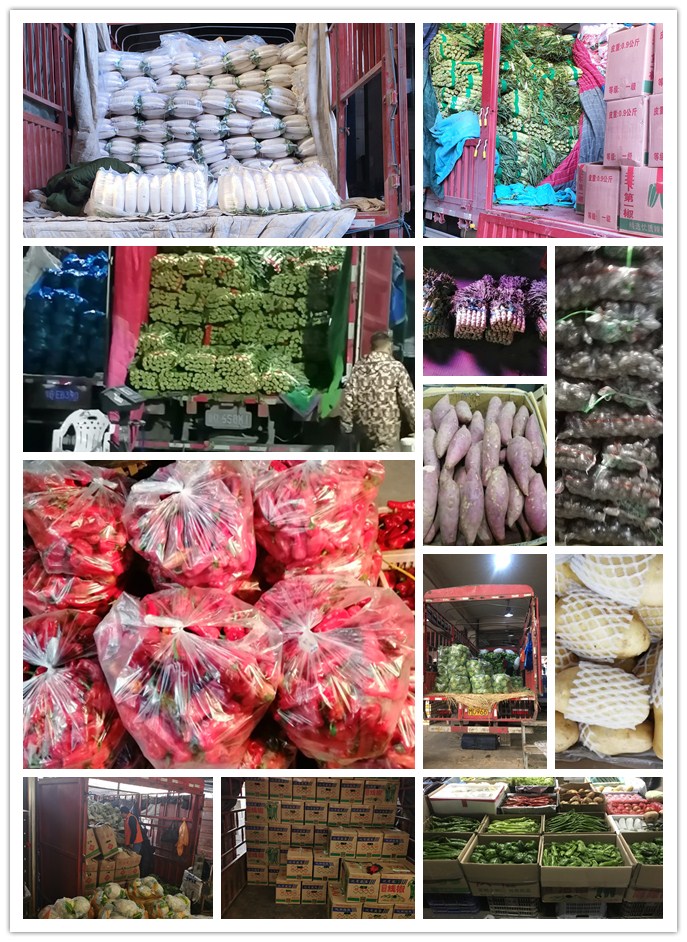 ��ҳ- �ڲ���������Ϊ��,רҵ����!