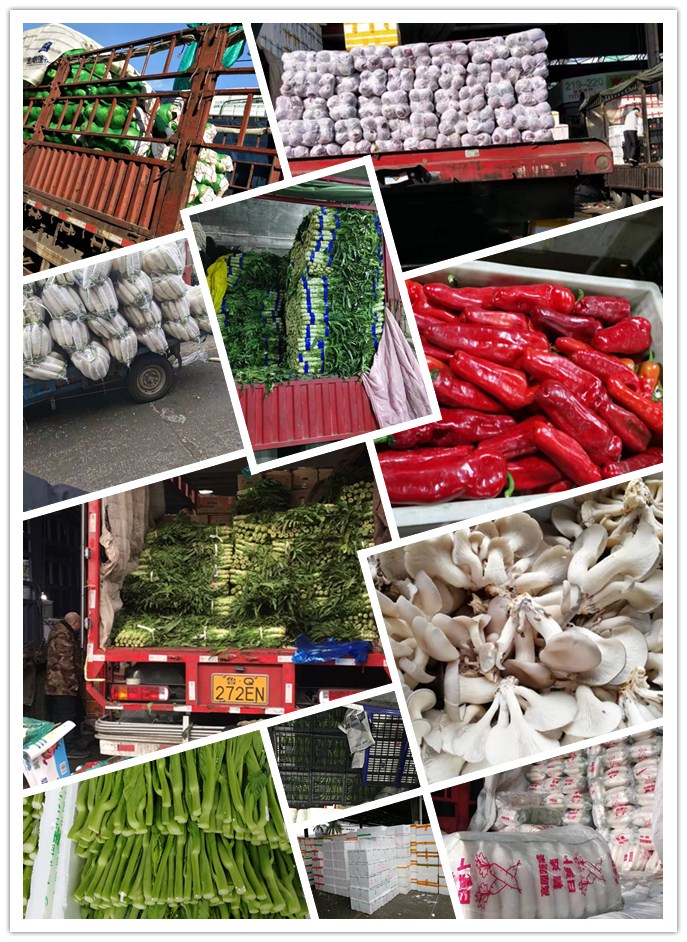 ��ҳ- �ڲ���������Ϊ��,רҵ����!