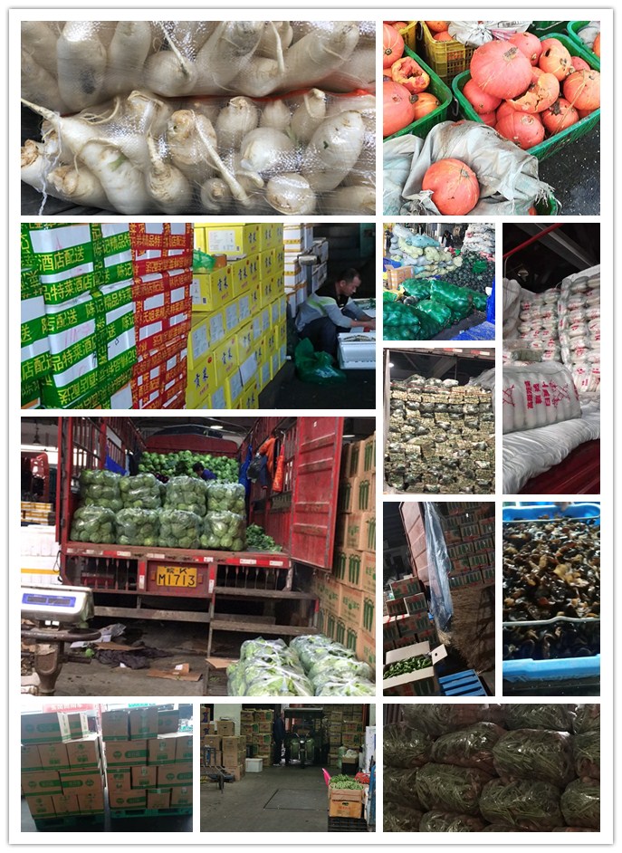 ��ҳ- �ڲ���������Ϊ��,רҵ����!