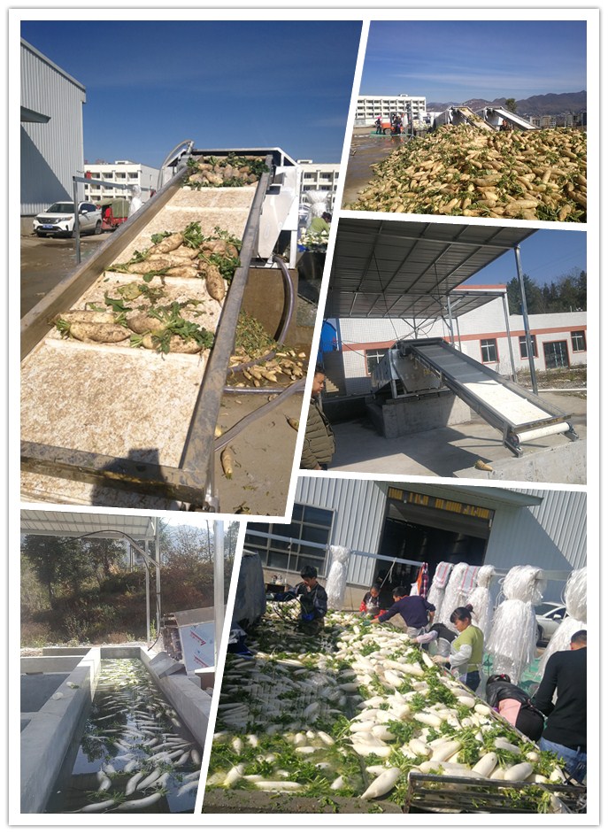 ��ҳ- �ڲ���������Ϊ��,רҵ����!