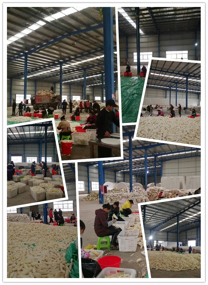 ��ҳ- �ڲ���������Ϊ��,רҵ����!