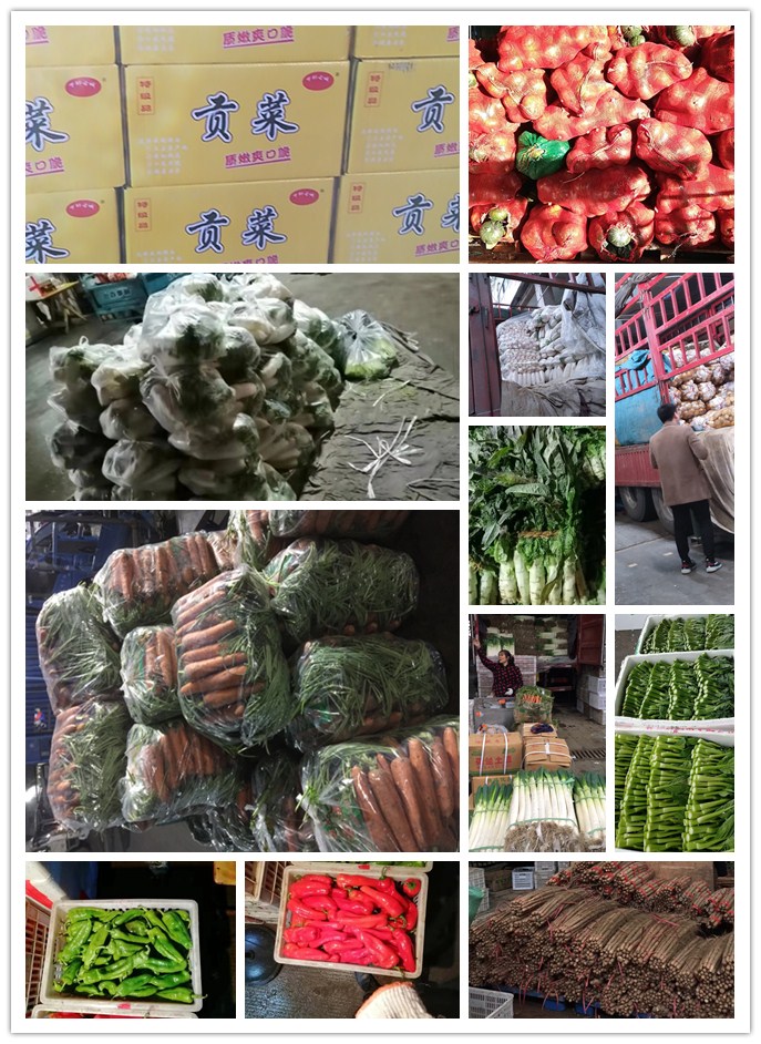 ��ҳ- �ڲ���������Ϊ��,רҵ����!