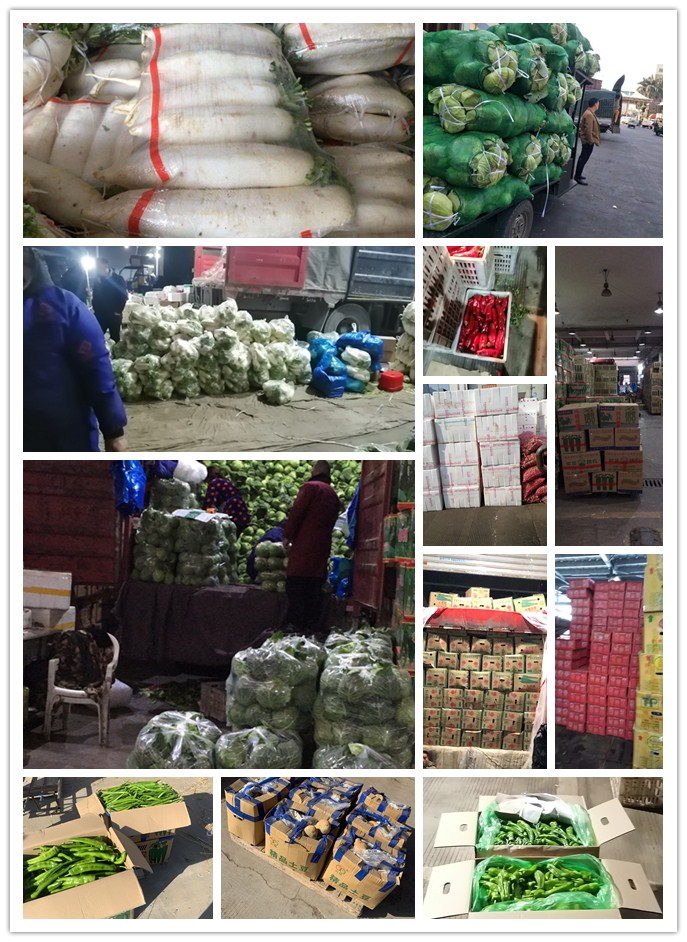 ��ҳ- �ڲ���������Ϊ��,רҵ����!