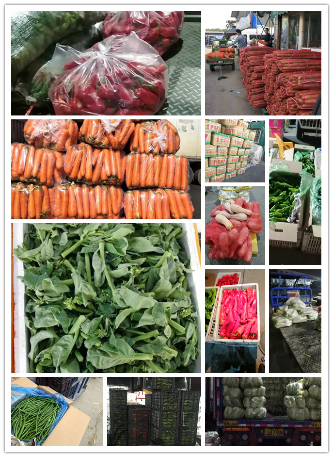 ��ҳ- �ڲ���������Ϊ��,רҵ����!