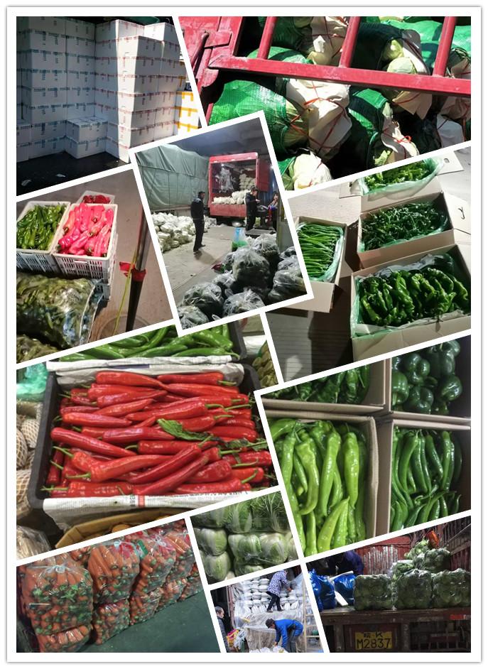 ��ҳ- �ڲ���������Ϊ��,רҵ����!