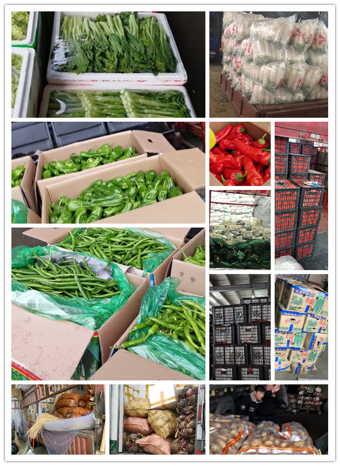 ��ҳ- �ڲ���������Ϊ��,רҵ����!