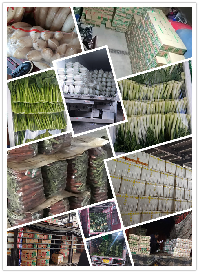 ��ҳ- �ڲ���������Ϊ��,רҵ����!