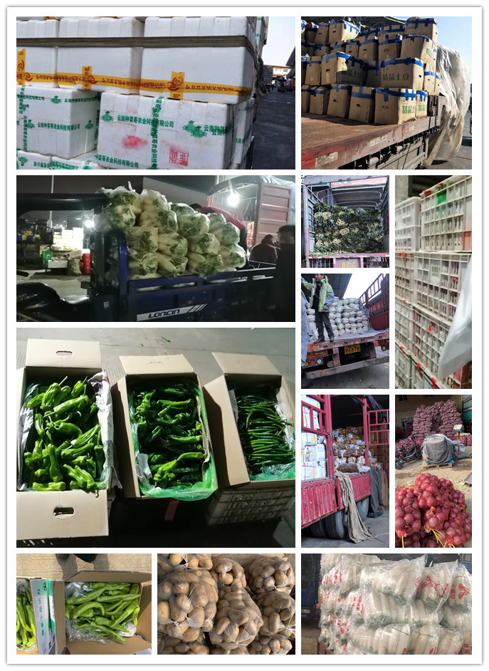 ��ҳ- �ڲ���������Ϊ��,רҵ����!