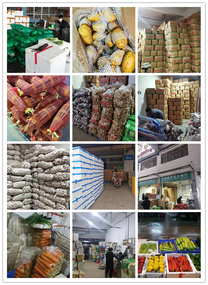 ��ҳ- �ڲ���������Ϊ��,רҵ����!