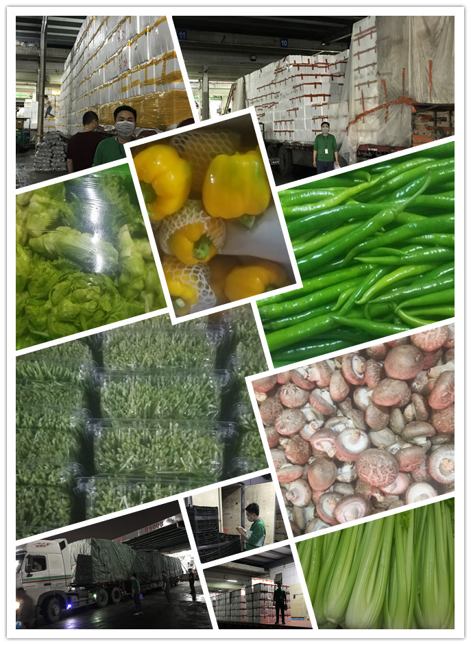 ��ҳ- �ڲ���������Ϊ��,רҵ����!