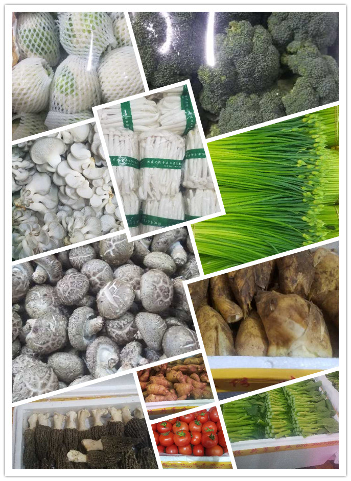 ��ҳ- �ڲ���������Ϊ��,רҵ����!