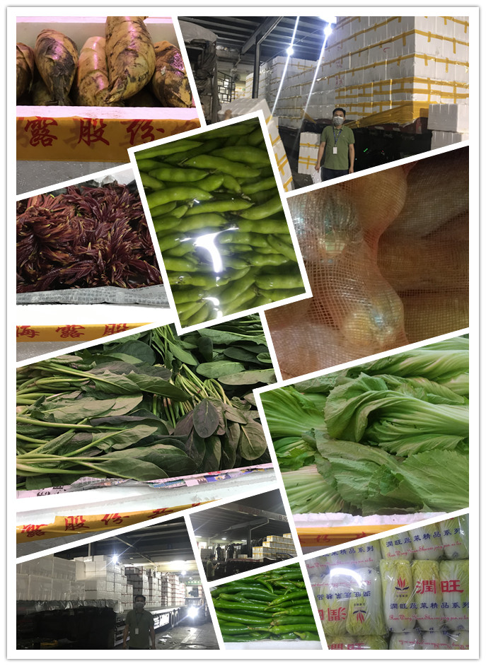 ��ҳ- �ڲ���������Ϊ��,רҵ����!