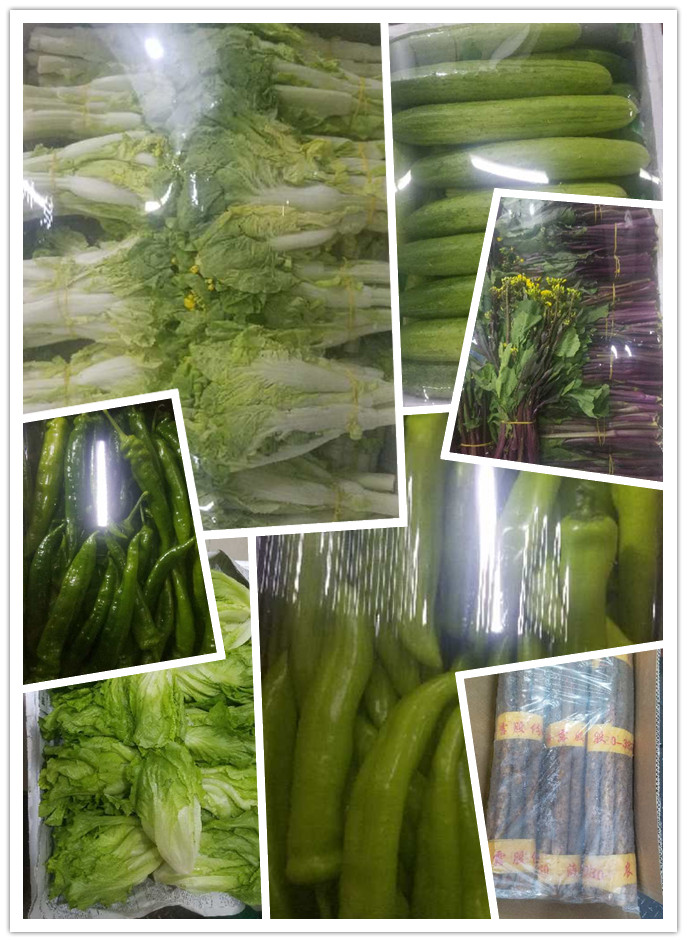 ��ҳ- �ڲ���������Ϊ��,רҵ����!