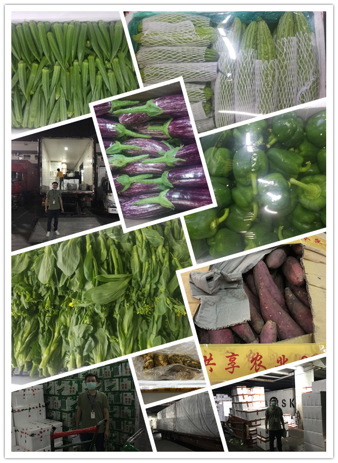 ��ҳ- �ڲ���������Ϊ��,רҵ����!