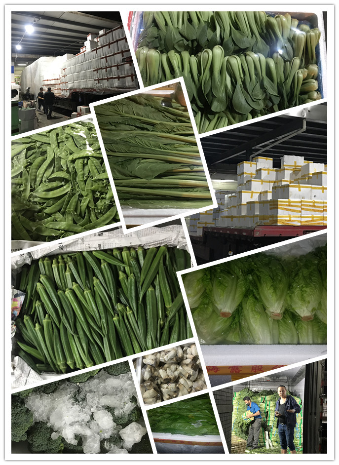 ��ҳ- �ڲ���������Ϊ��,רҵ����!