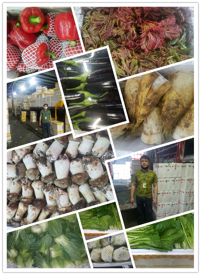 ��ҳ- �ڲ���������Ϊ��,רҵ����!