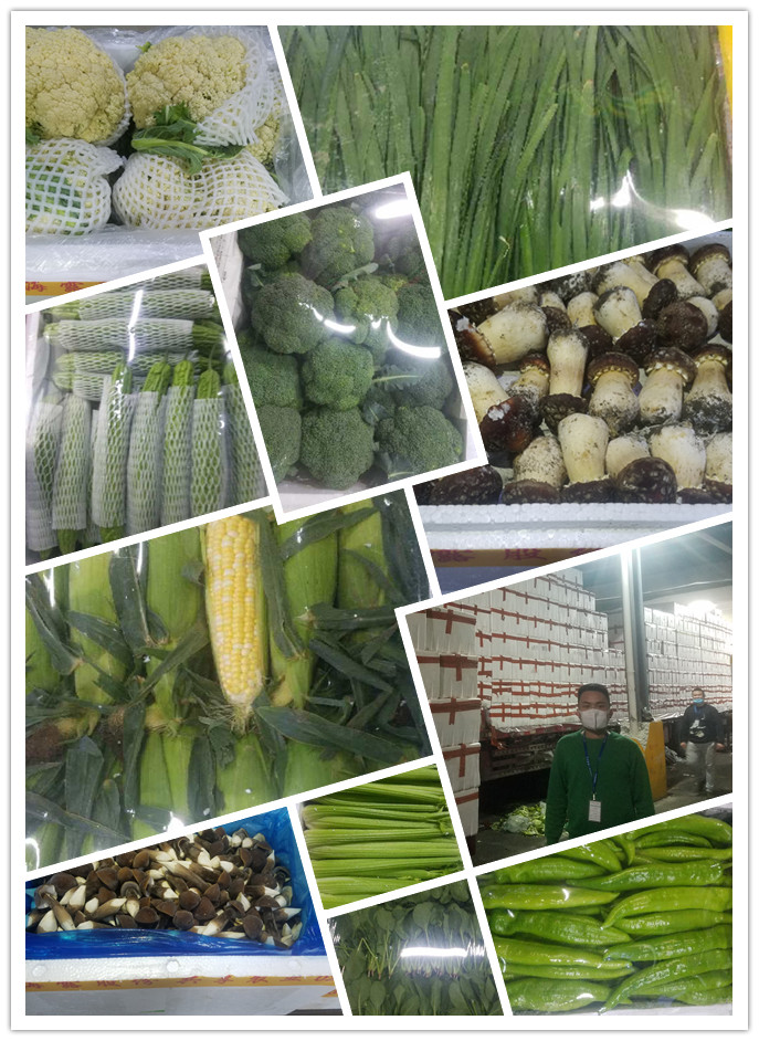 ��ҳ- �ڲ���������Ϊ��,רҵ����!