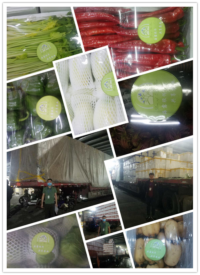 ��ҳ- �ڲ���������Ϊ��,רҵ����!