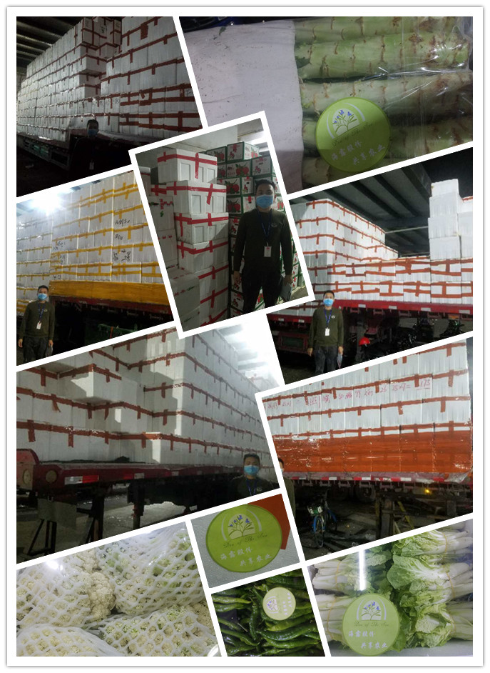 ��ҳ- �ڲ���������Ϊ��,רҵ����!