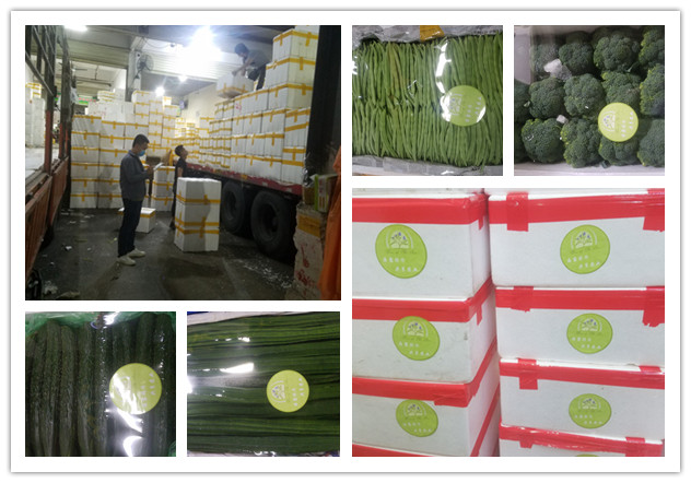 ��ҳ- �ڲ���������Ϊ��,רҵ����!