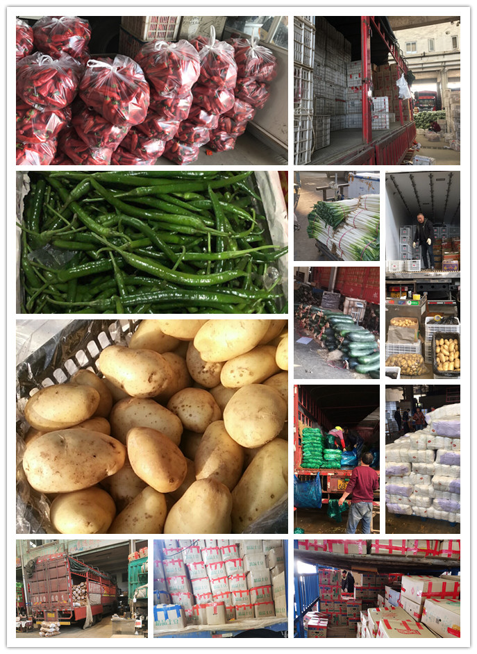 ��ҳ- �ڲ���������Ϊ��,רҵ����!