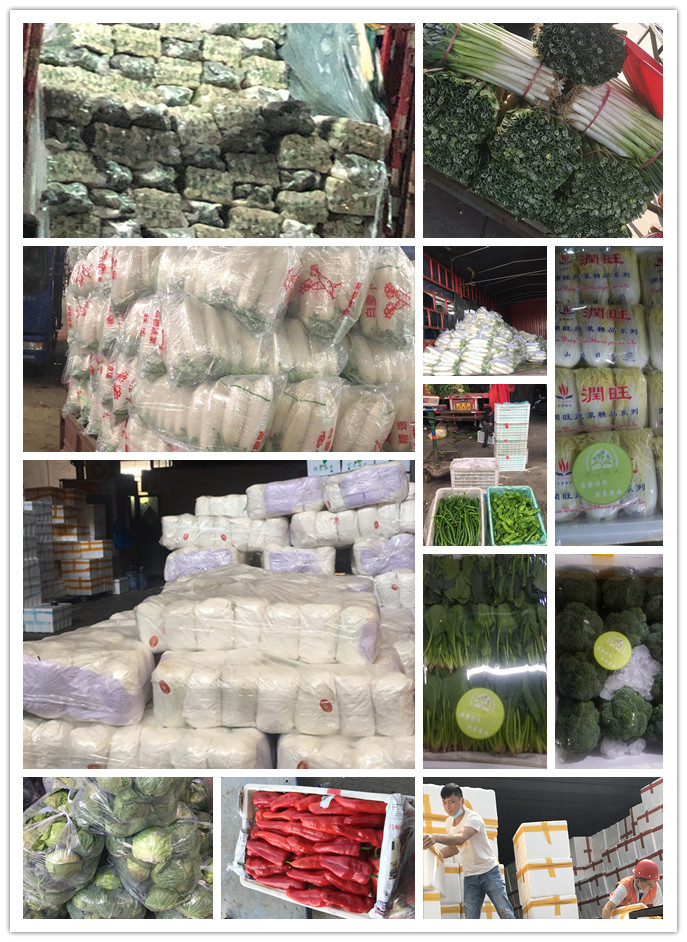 ��ҳ- �ڲ���������Ϊ��,רҵ����!