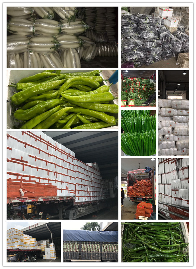 ��ҳ- �ڲ���������Ϊ��,רҵ����!