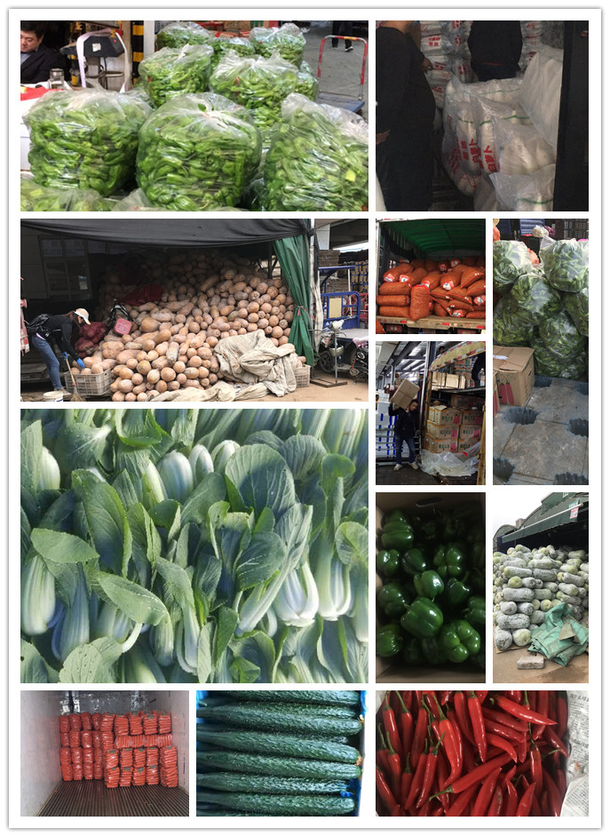 ��ҳ- �ڲ���������Ϊ��,רҵ����!