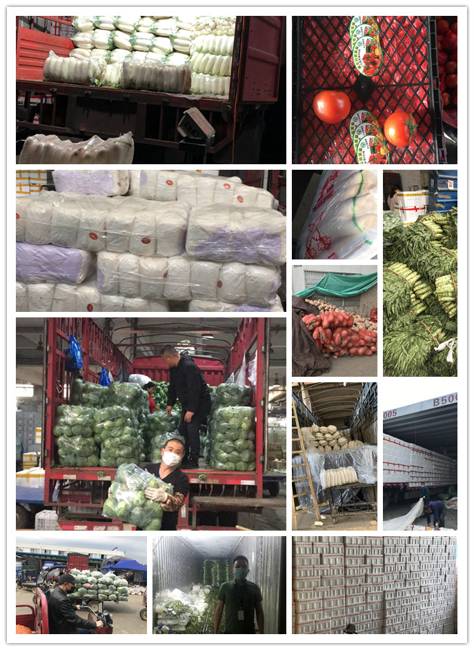 ��ҳ- �ڲ���������Ϊ��,רҵ����!