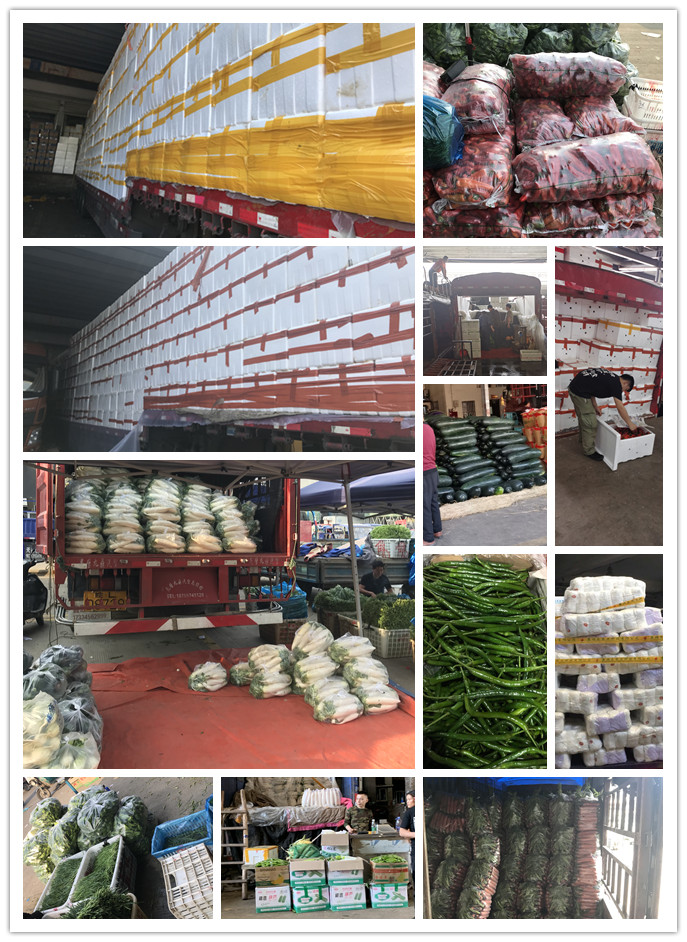 ��ҳ- �ڲ���������Ϊ��,רҵ����!