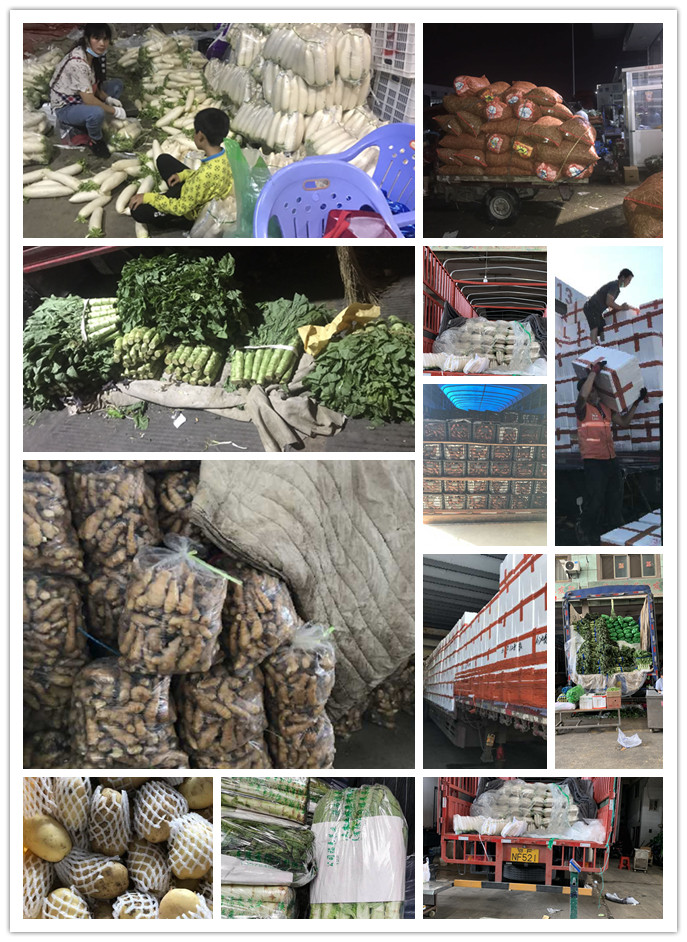 ��ҳ- �ڲ���������Ϊ��,רҵ����!