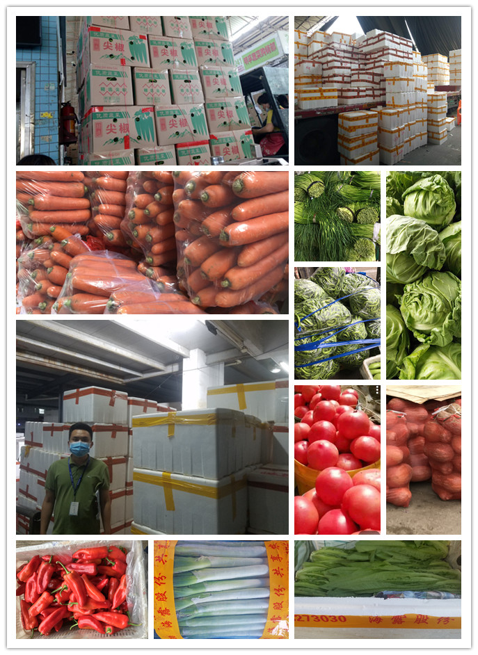 ��ҳ- �ڲ���������Ϊ��,רҵ����!