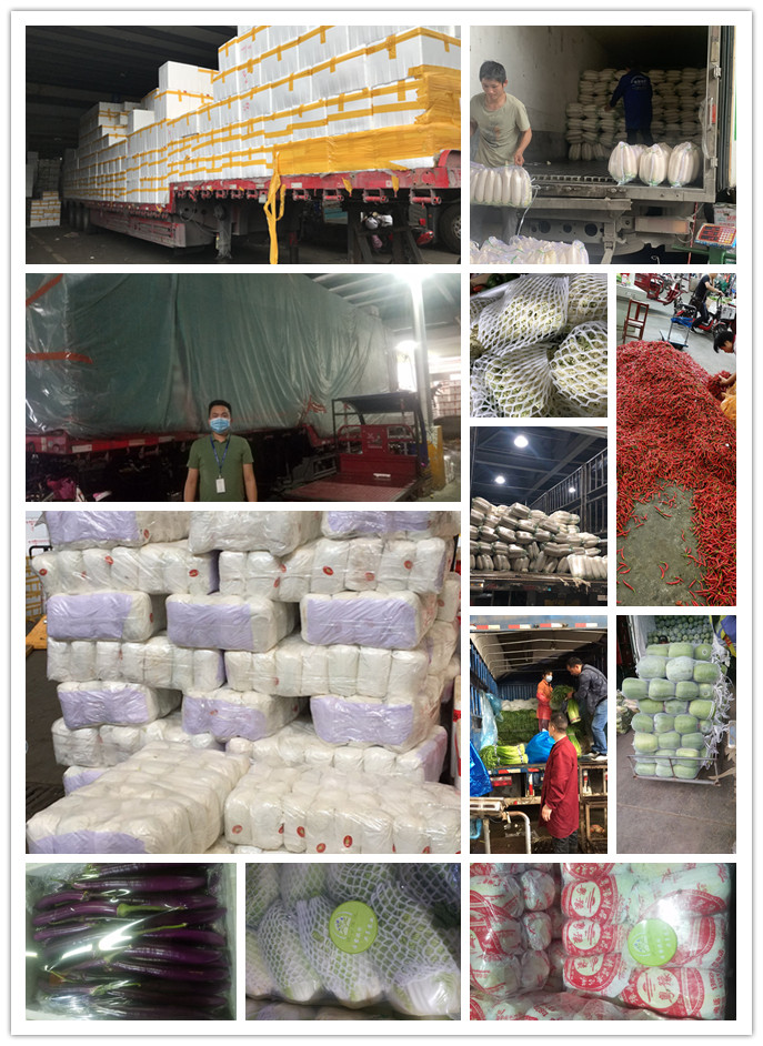 ��ҳ- �ڲ���������Ϊ��,רҵ����!