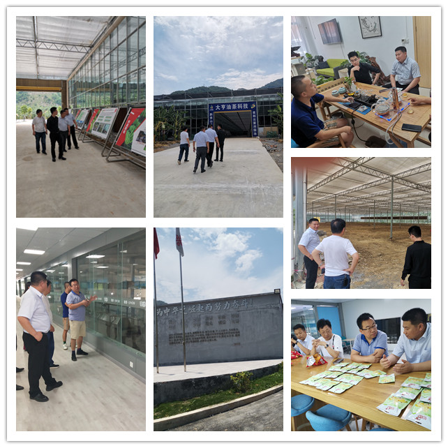 ��ҳ- �ڲ���������Ϊ��,רҵ����!