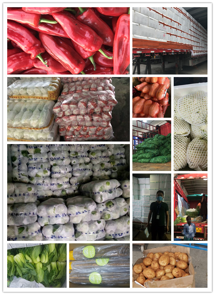 ��ҳ- �ڲ���������Ϊ��,רҵ����!