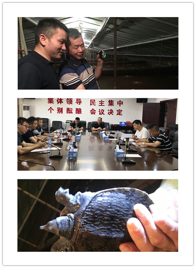 ��ҳ- �ڲ���������Ϊ��,רҵ����!