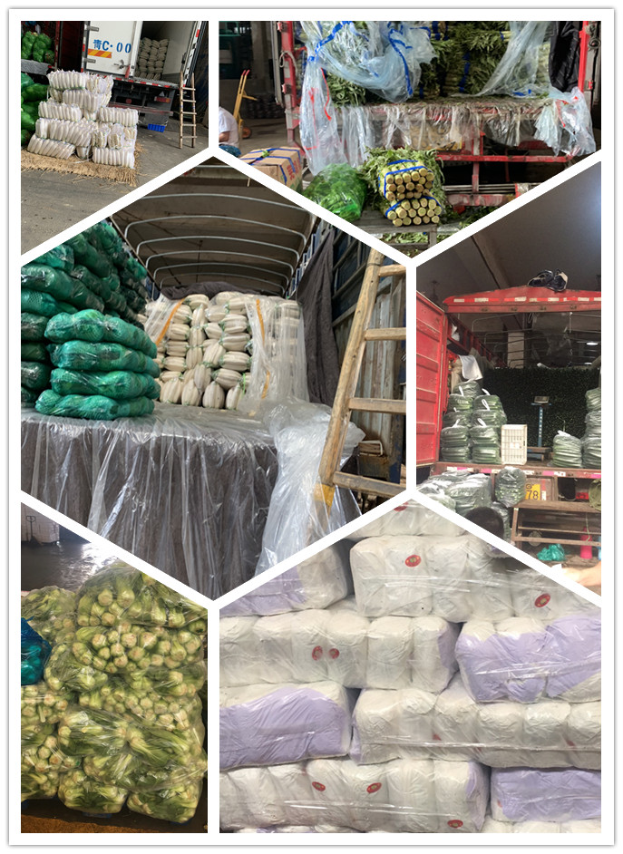 ��ҳ- �ڲ���������Ϊ��,רҵ����!