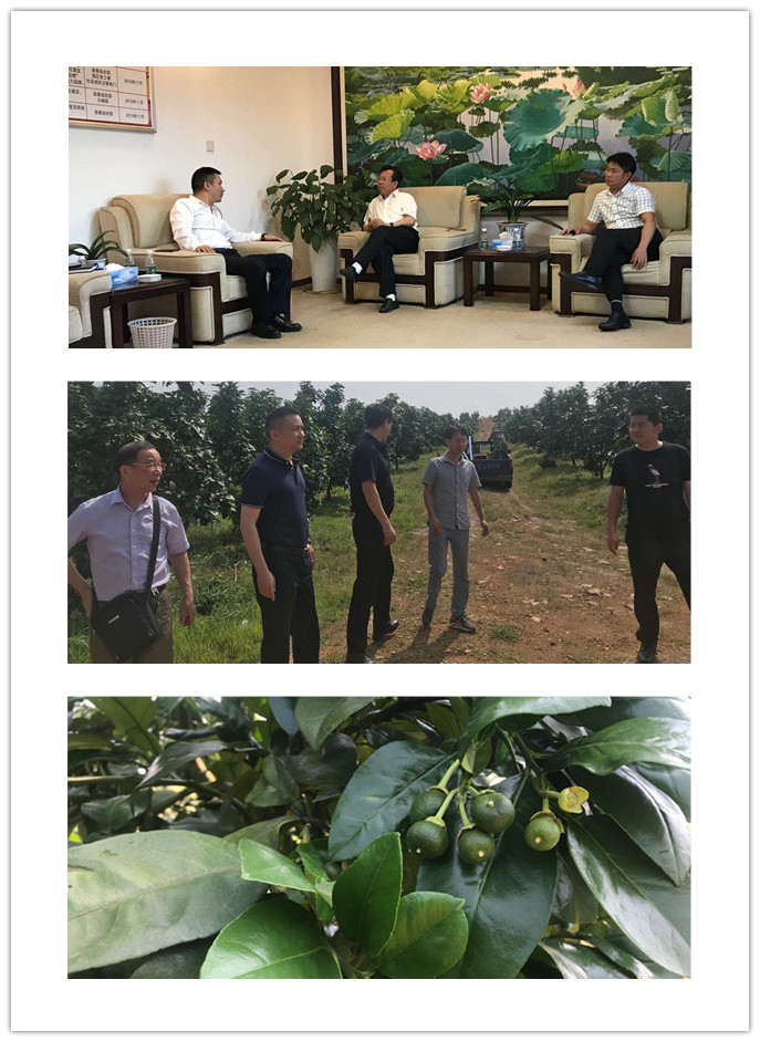 ��ҳ- �ڲ���������Ϊ��,רҵ����!