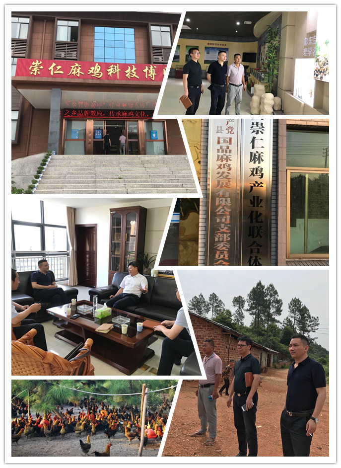 ��ҳ- �ڲ���������Ϊ��,רҵ����!