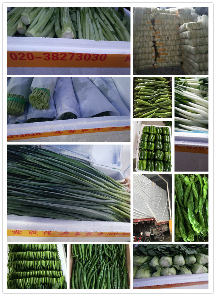 ��ҳ- �ڲ���������Ϊ��,רҵ����!