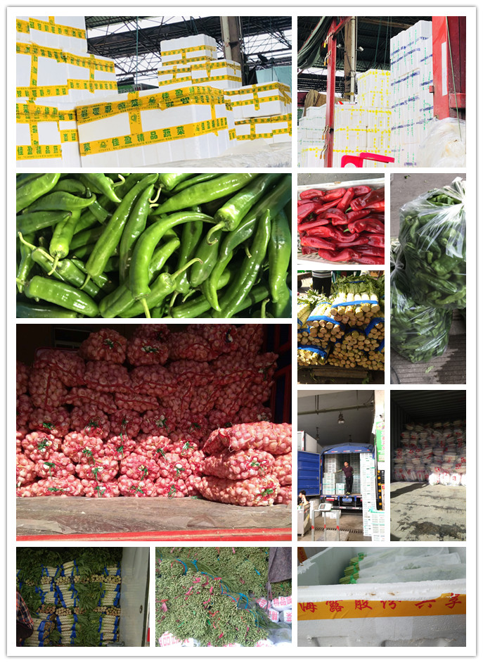 ��ҳ- �ڲ���������Ϊ��,רҵ����!