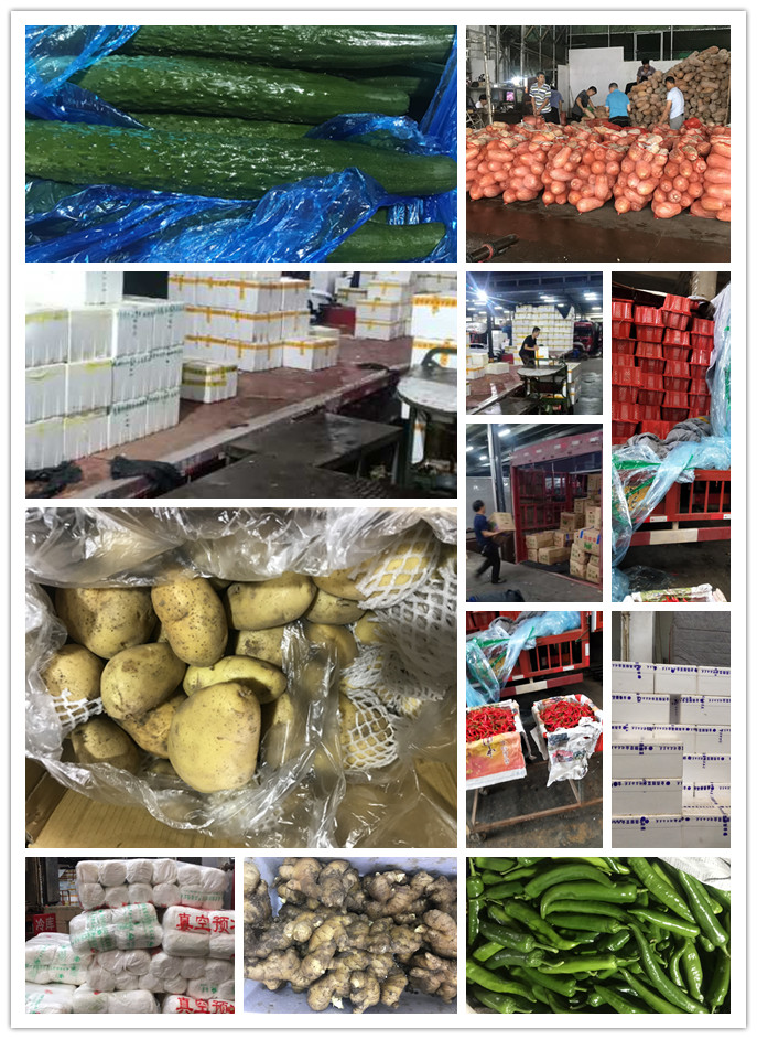 ��ҳ- �ڲ���������Ϊ��,רҵ����!